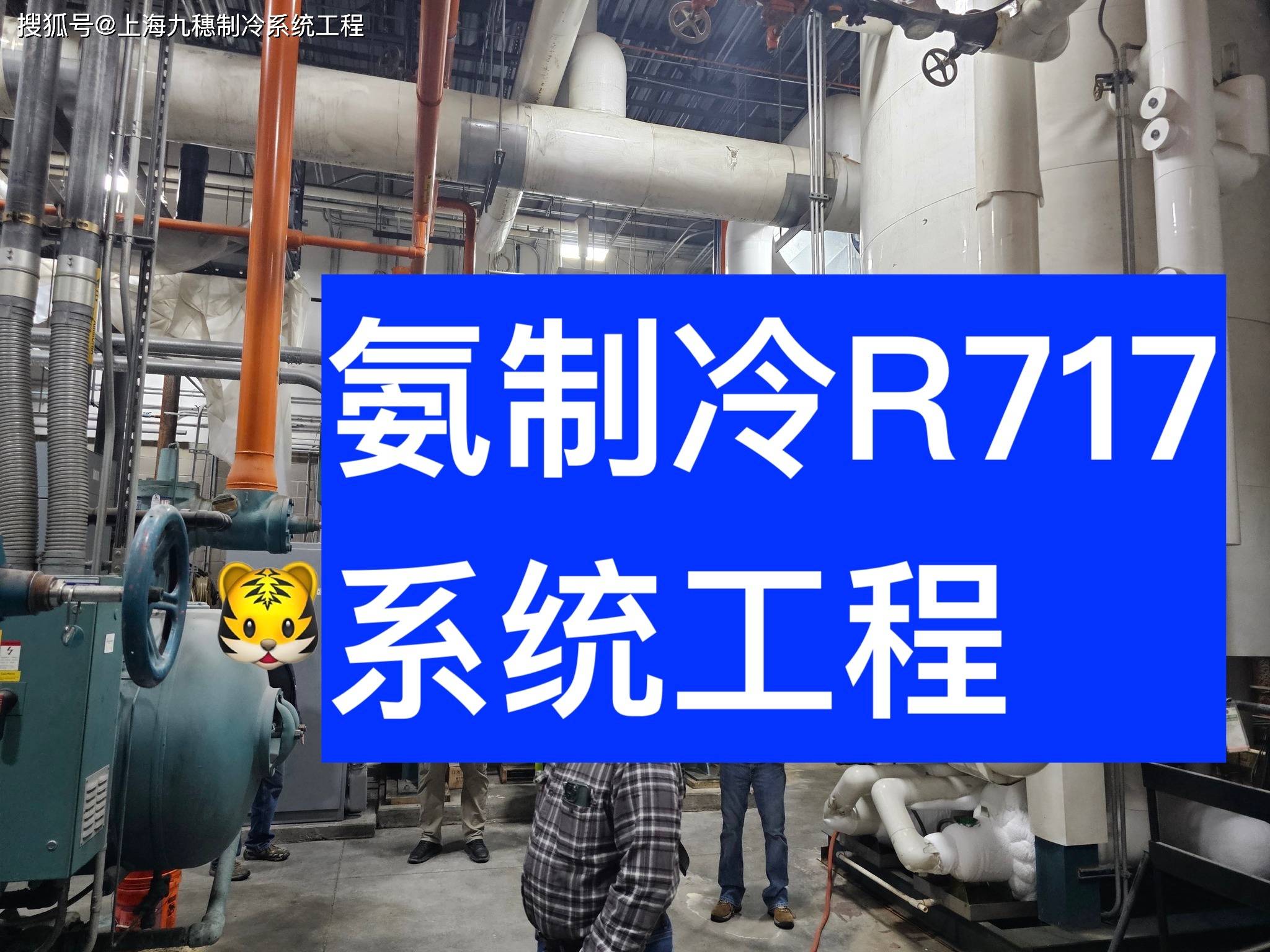 #ammonia #indusrialrefrigeration工业冷冻之氨制冷系统