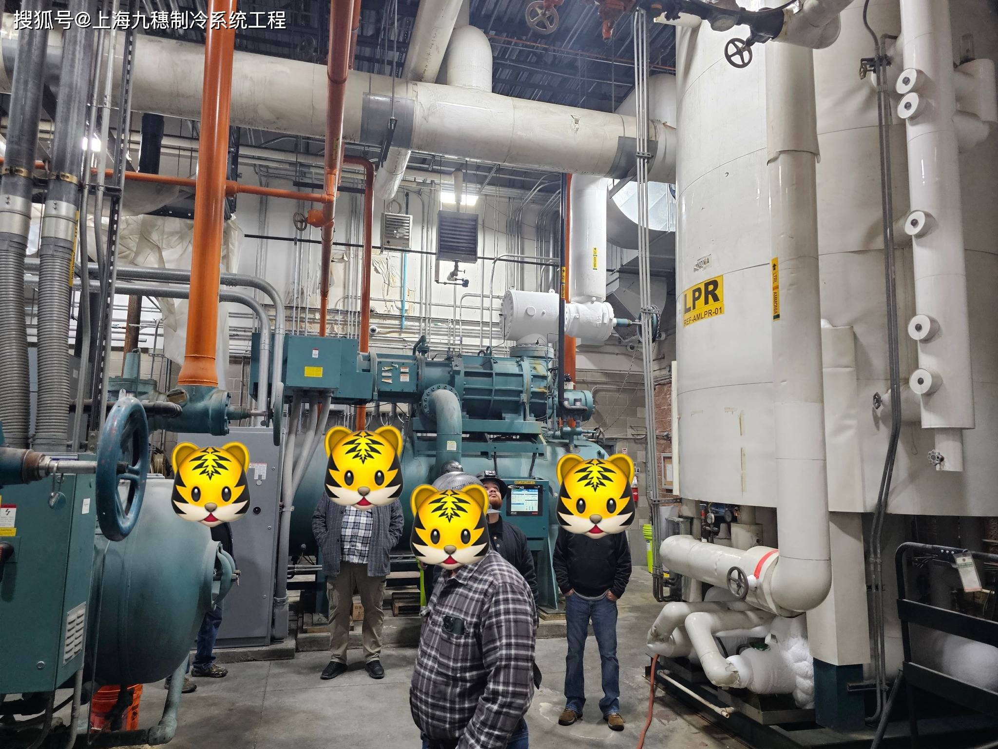#ammonia #indusrialrefrigeration工业冷冻之氨制冷系统