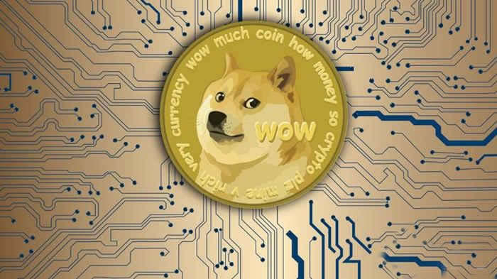doge是什么币种(doge是什么币种最新消息)