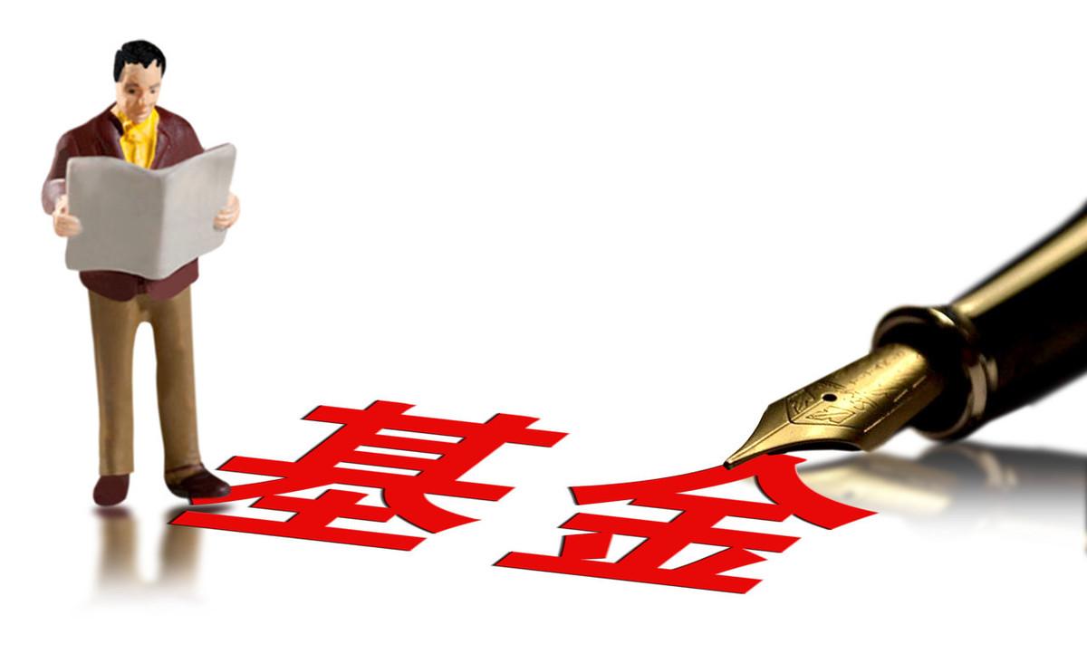 基金(基金估值实时查询)