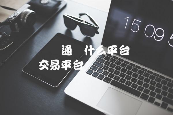 虚拟币平台有哪些(虚拟币平台排名前十)