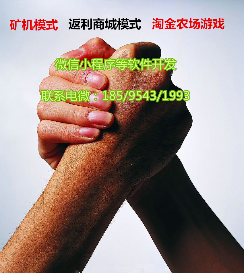 虚拟币团队(虚拟币团队导师)