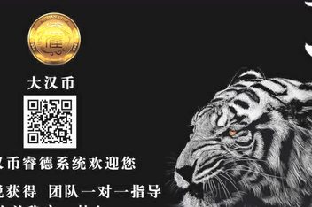 虚拟币团队(虚拟币团队招人)