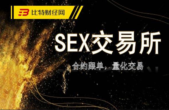 虚拟币sc(虚拟币SOL)
