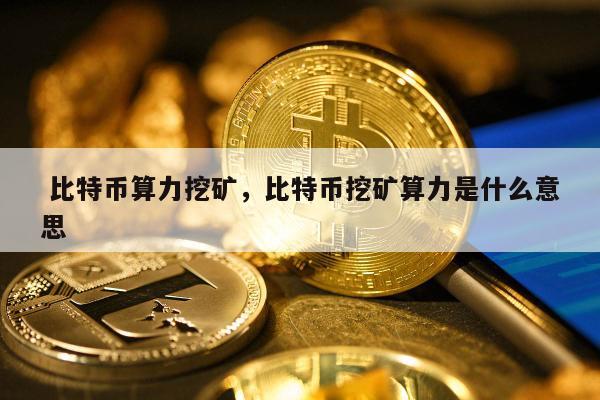 虚拟币算力(虚拟币算力查询)